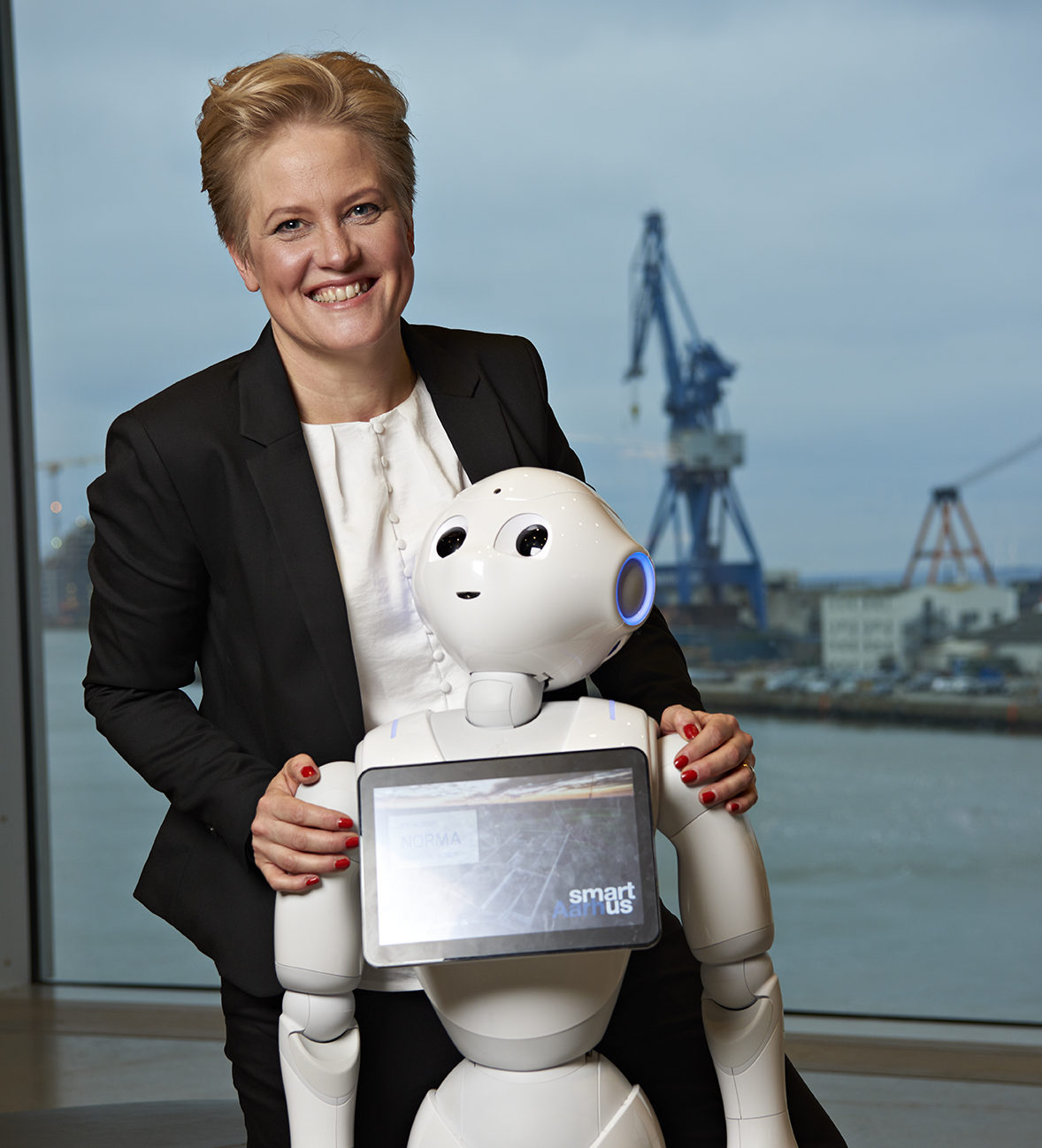 Denmark: The Hub of Robotic Innovation