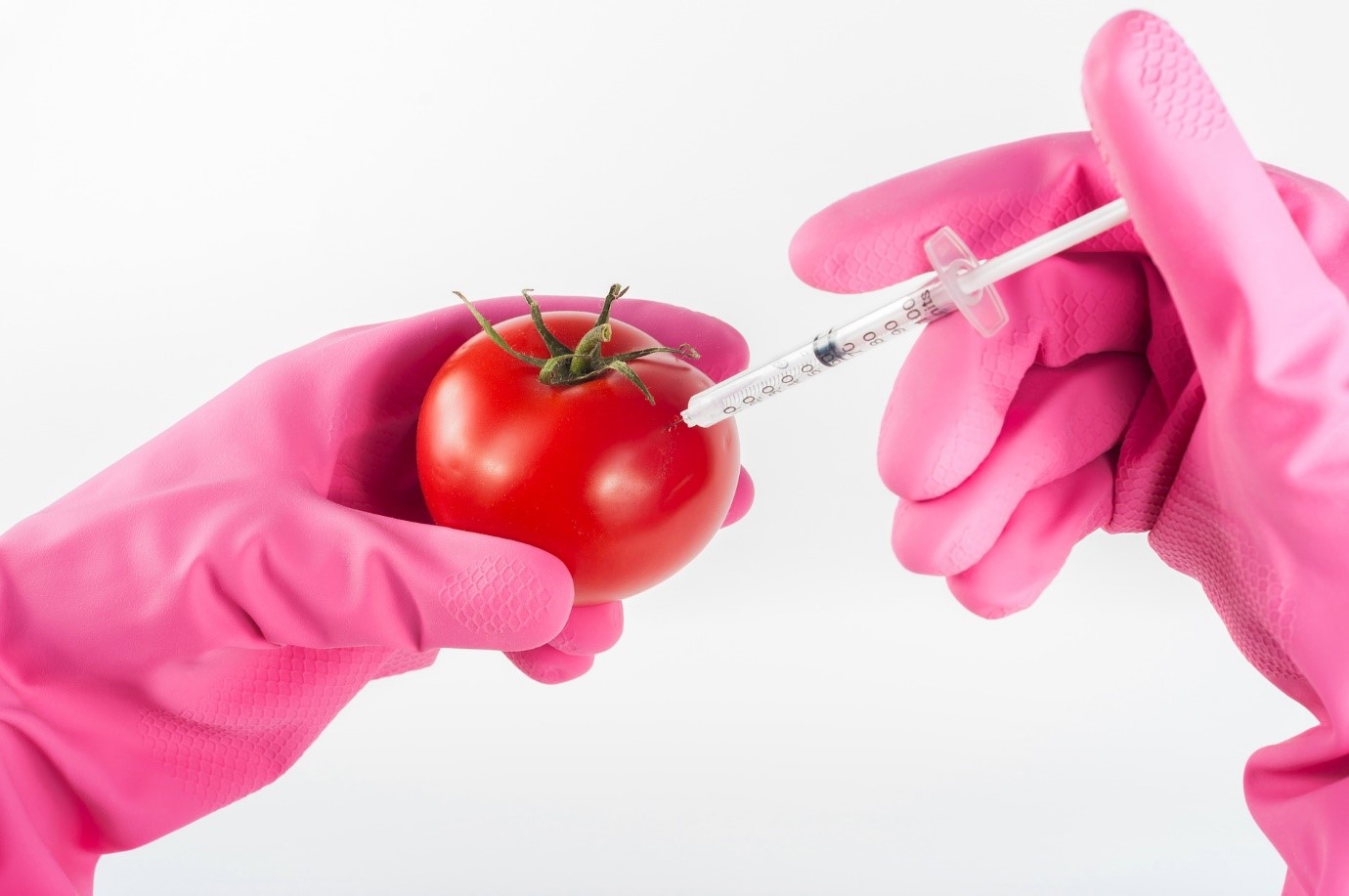 The influence of media on public perception – Genetically Modified Food, or ‘Frankenstein food’?