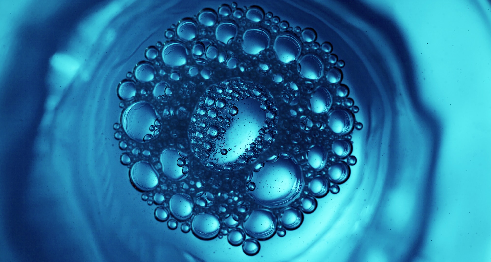 Generating global partnership opportunities